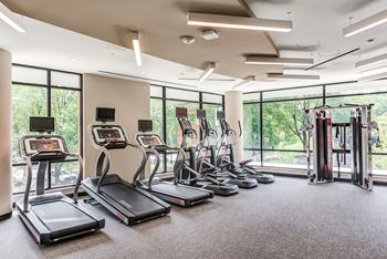 a gym with various cardio machines and windows